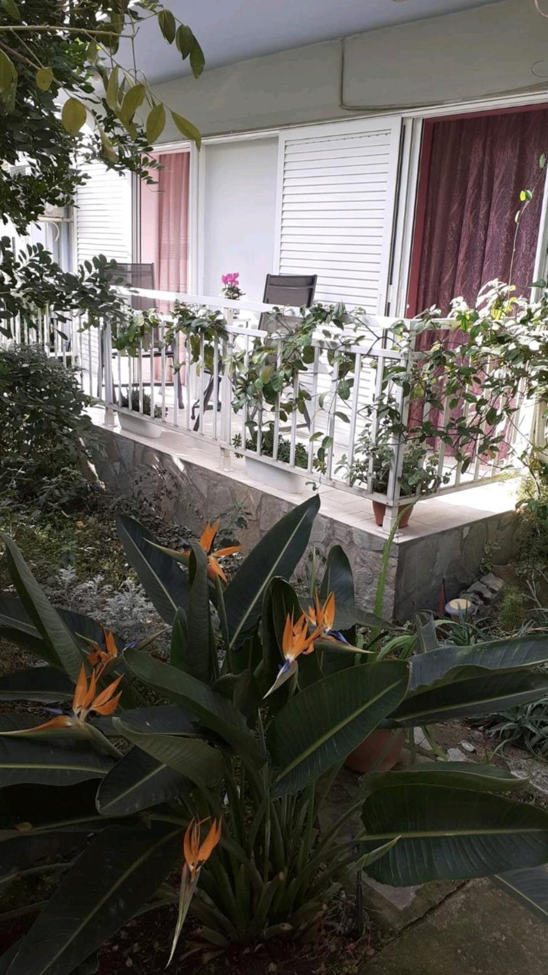 Dreamhouse Apartment Nafpaktos Exterior foto